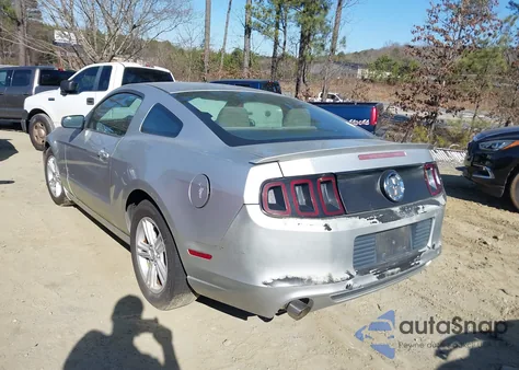 2013 Ford Mustang V6 z USA, uszkodzony, nr VIN 1ZVBP8AM4D5279012